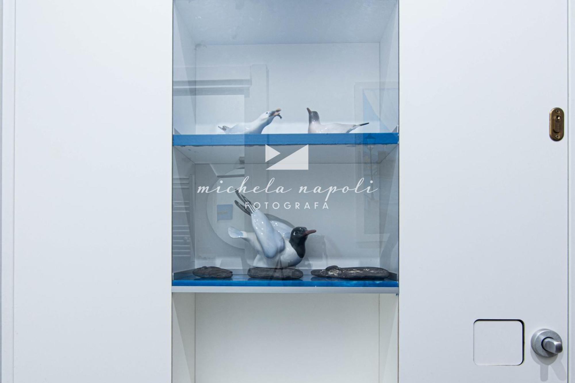Im International 1 - Galleria Raggio 3/9 라팔로 외부 사진